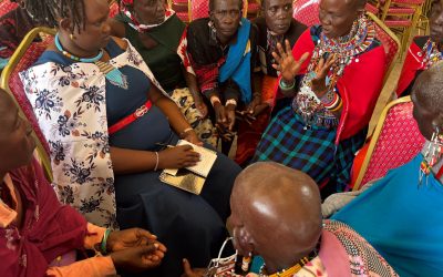 Transforming Maternal Health with Traditional Birth Companions